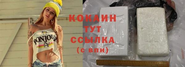 крисы Ростов