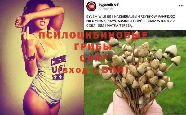 гидропоника Алзамай