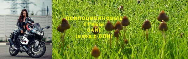 PSILOCYBIN Алексеевка