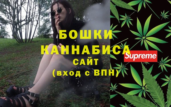 гидропоника Алзамай