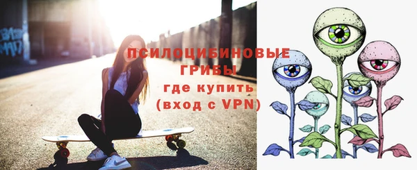 гидропоника Алзамай