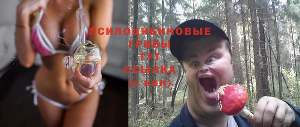 гидропоника Алзамай